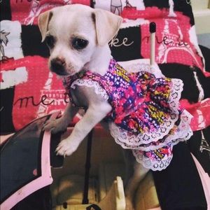 Cute dog floral dog dress. Limited Edition